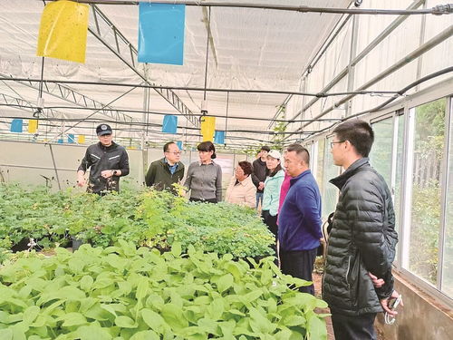 丽江市完成滇西北草种质资源圃建设引种活体 要闻 丽江频道
