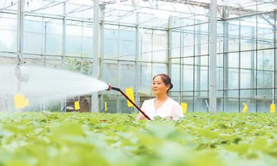 以高标准引领中医药 走出去 大健康观察